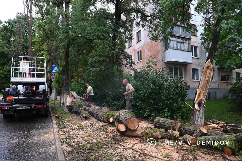 В Белгороде коммунальщики начали устранять последствия непогоды2