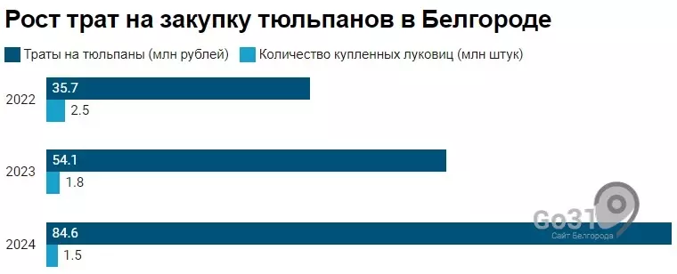 Рост трат на закупку тюльпанов