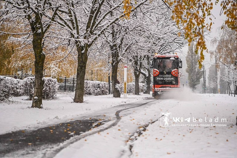 617 человек убирают снег на улицах Белгорода 14 ноября6