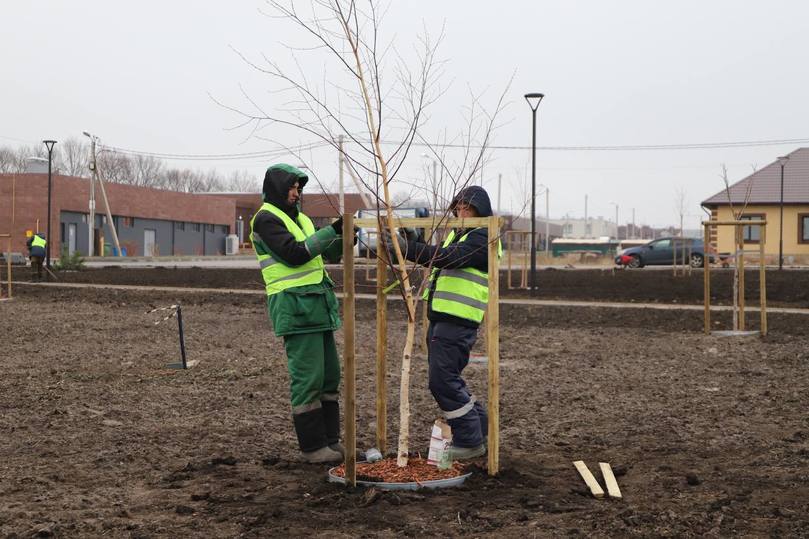 В Белгородском районе завершается благоустройство дендропарка7