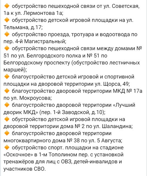 10 инициативных проектов жителей Белгорода реализуют в 2025 году1