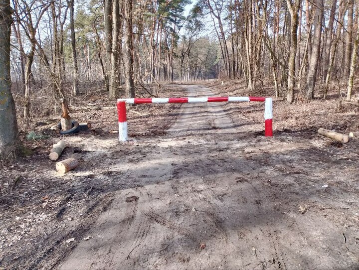 Белгородские коммунальщики готовят леса к пожароопасному периоду2